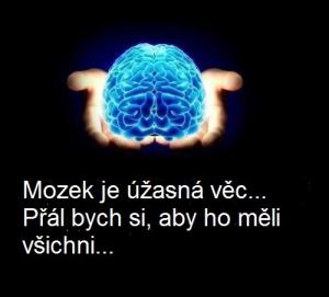 Mozek