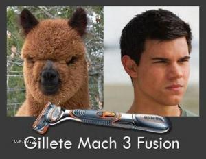 Gillete Mach 3 Fusion
