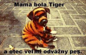 Mama bola tiger