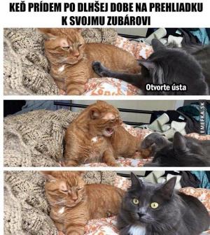 Když jdu po roce k zubaři