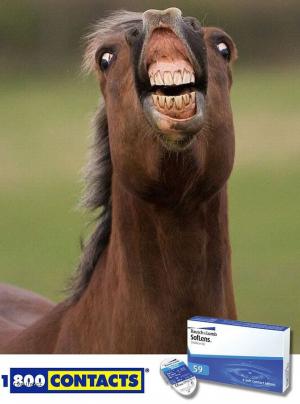 Koňské zuby