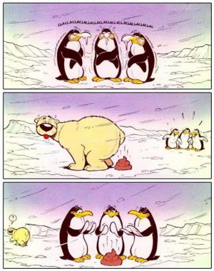 Jak vnímají tučňáci ledního medvěda?