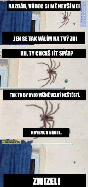 Pavouci :D