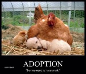 Adopce