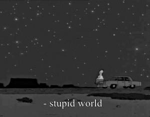 Stupid world