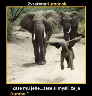 Dumbo:D