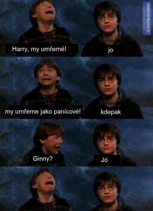 Harry, my umřemé!
