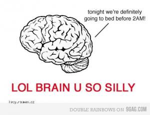 silly brain