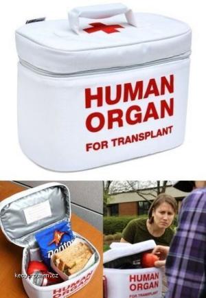 Human organ box