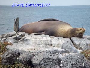 State employee
