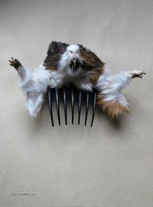 Truly Terrifying Fashion Accessories4