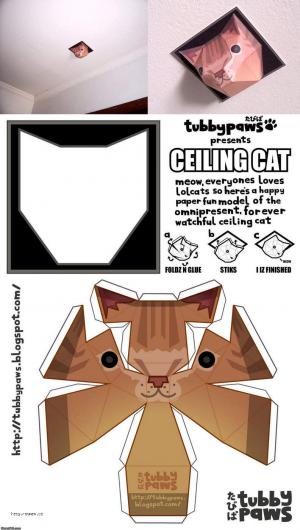 ceiling cat paper