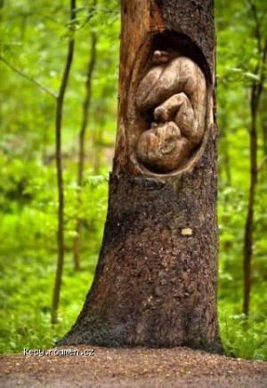 Tree sculpture baby embryo