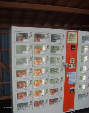 automat na prodej vajec