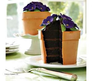 Cool Plantpot Themed Chocolate Cake