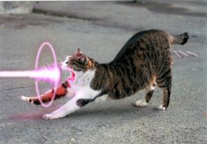 all glory to power cat