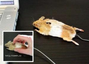 1AprilComputer Mouse