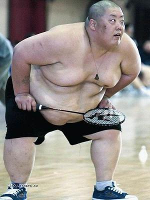 sumo a jinej sport
