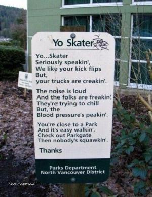 Yo Skater
