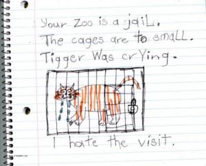 Your Zoo