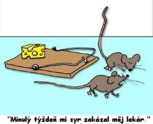 Myšky, které mají přísnou dietu