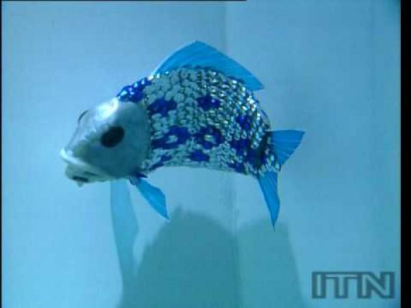 Robot - ryba