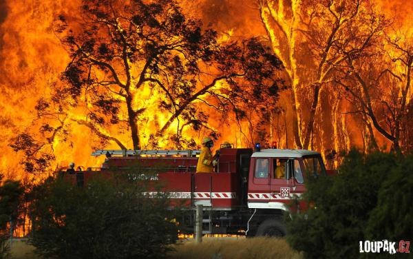OBRÁZKY - Austrálie v plamenech
