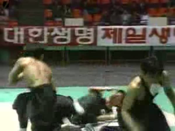 Jihokorejská bojová umění