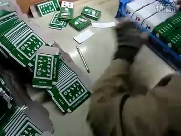 Čína - Balení hracích karet