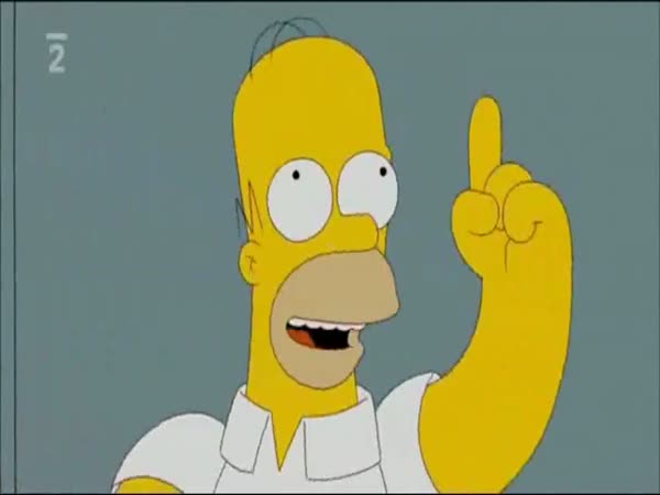 Simpsonovi - Černý Jestřáb sestřelen