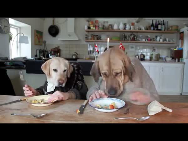 Dva psi večeří 