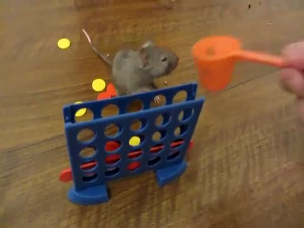 Chytrá myš