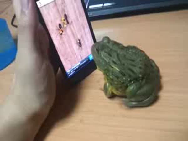 Žába hraje hru na telefonu