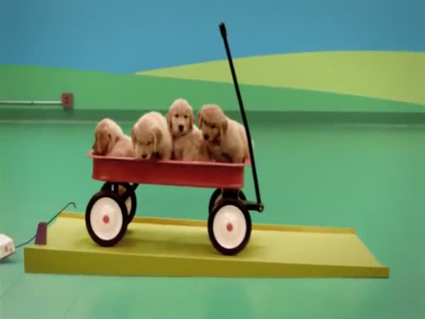 Skvělá reklama na psí žrádlo