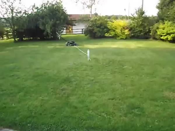 Jak posekat trávník bez práce