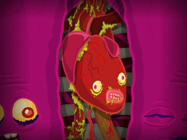 Příběh orgánů - Animace