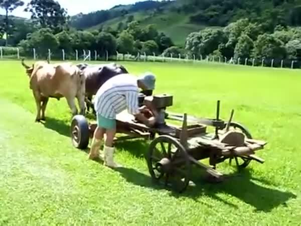 Brazilská sekačka na trávník