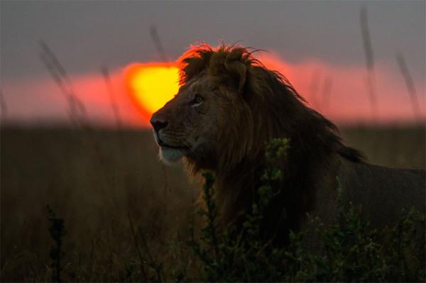 GALERIE - Západ Slunce v Keni 