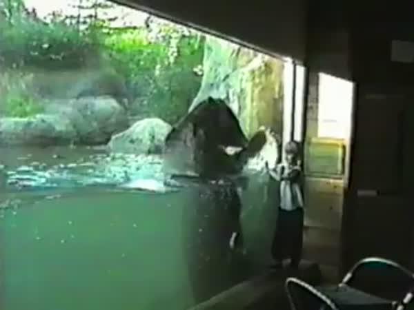 Faily dětí v akváriu a zoo