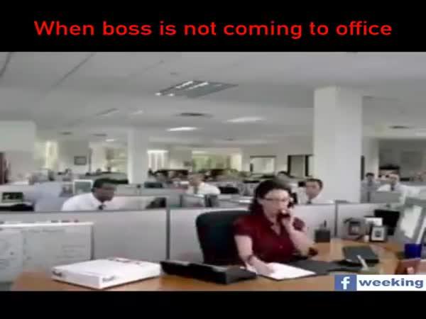 Když šéf nepřijde do práce