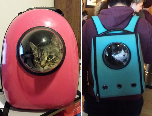 GALERIE - Kočky cestují jako astronauti