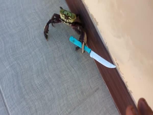     Krab s vražedným nožem     
