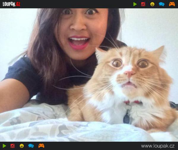 GALERIE - Kočky, co nesnáší selfie