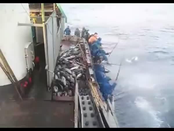 Hromadný rybolov