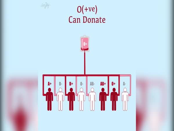 Kdo komu může darovat krev