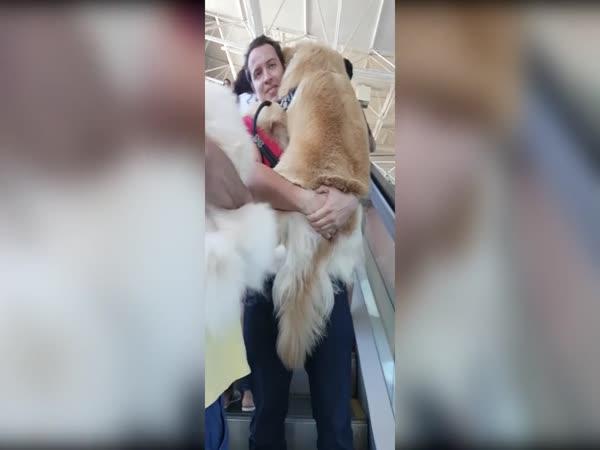 Když se velký pes bojí eskalátoru