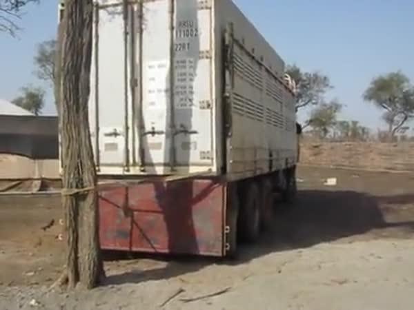       Vykládka kontejneru v Súdánu      