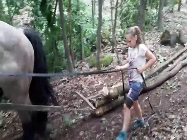       Malá dívka vede obřího koně      