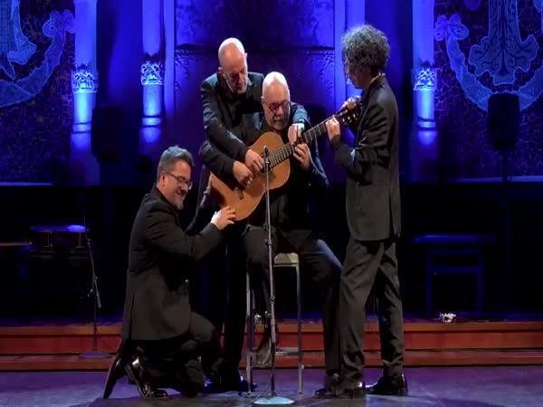     Čtyři muži hrají naráz na jednu kytaru    