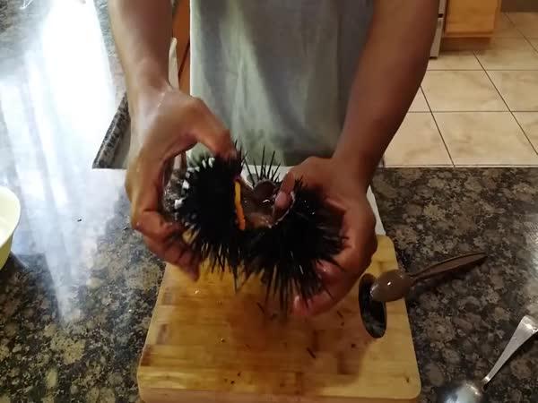    Návod – Příprava mořského ježka    